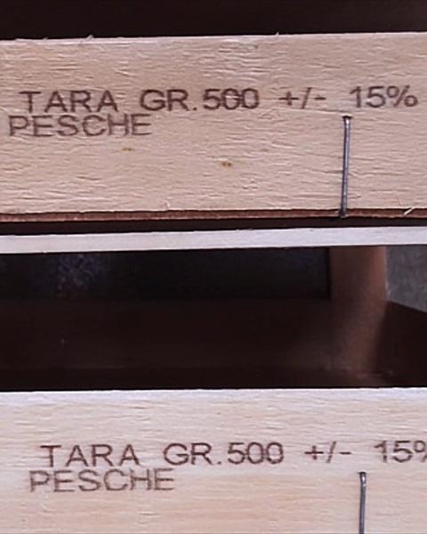 Marcaje y codificación en palets de madera