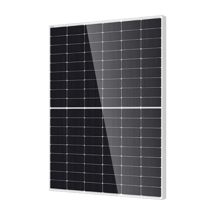 DM450M10RT-B54HSW Bifacial Module con Double Glass - DMEGC