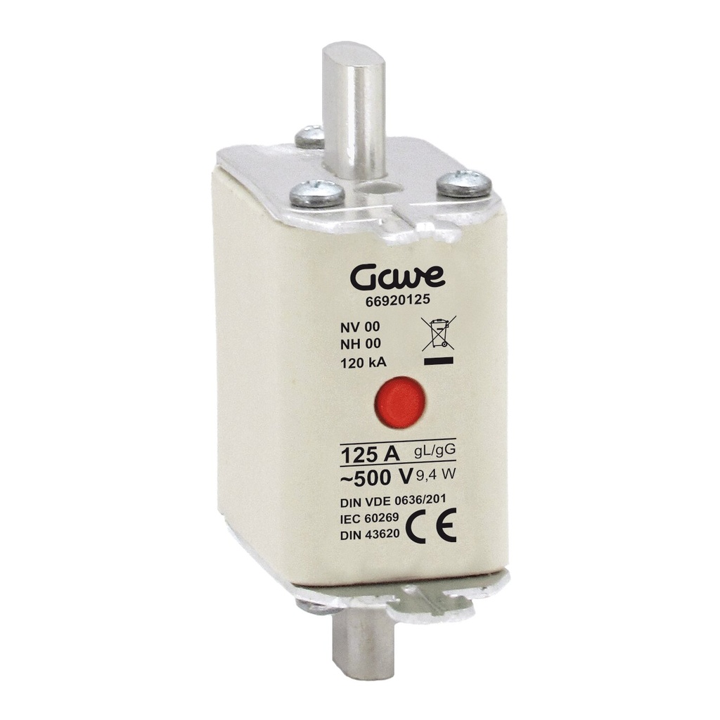 FUSIBLE NH IND.FUSION GAVE 125A.GG T00