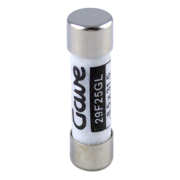 FUSIBLE CILINDRICO GAVE 25A. GG T00
